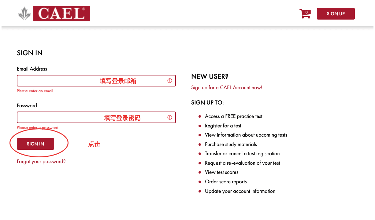 CAEL登录页面 填写邮箱密码