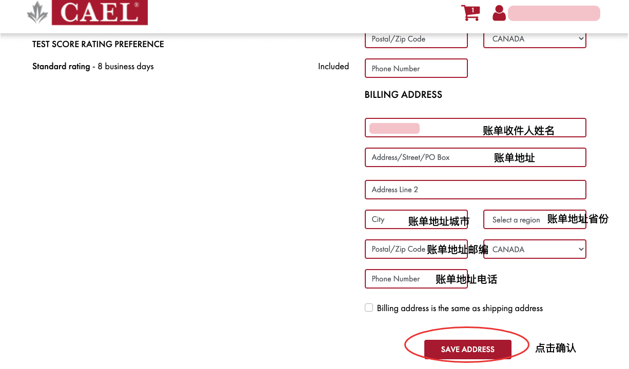 CAEL账单地址填写 点击SAVE ADDRESS